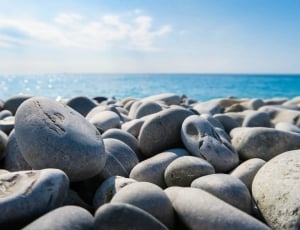 gray stones on seashore thumbnail