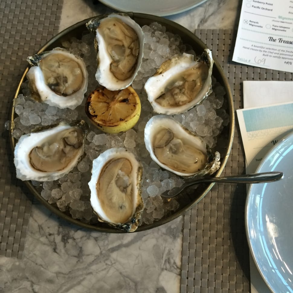 oysters and citrus meal preview