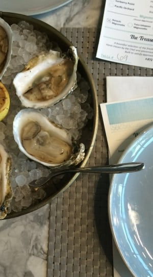 oysters and citrus meal thumbnail
