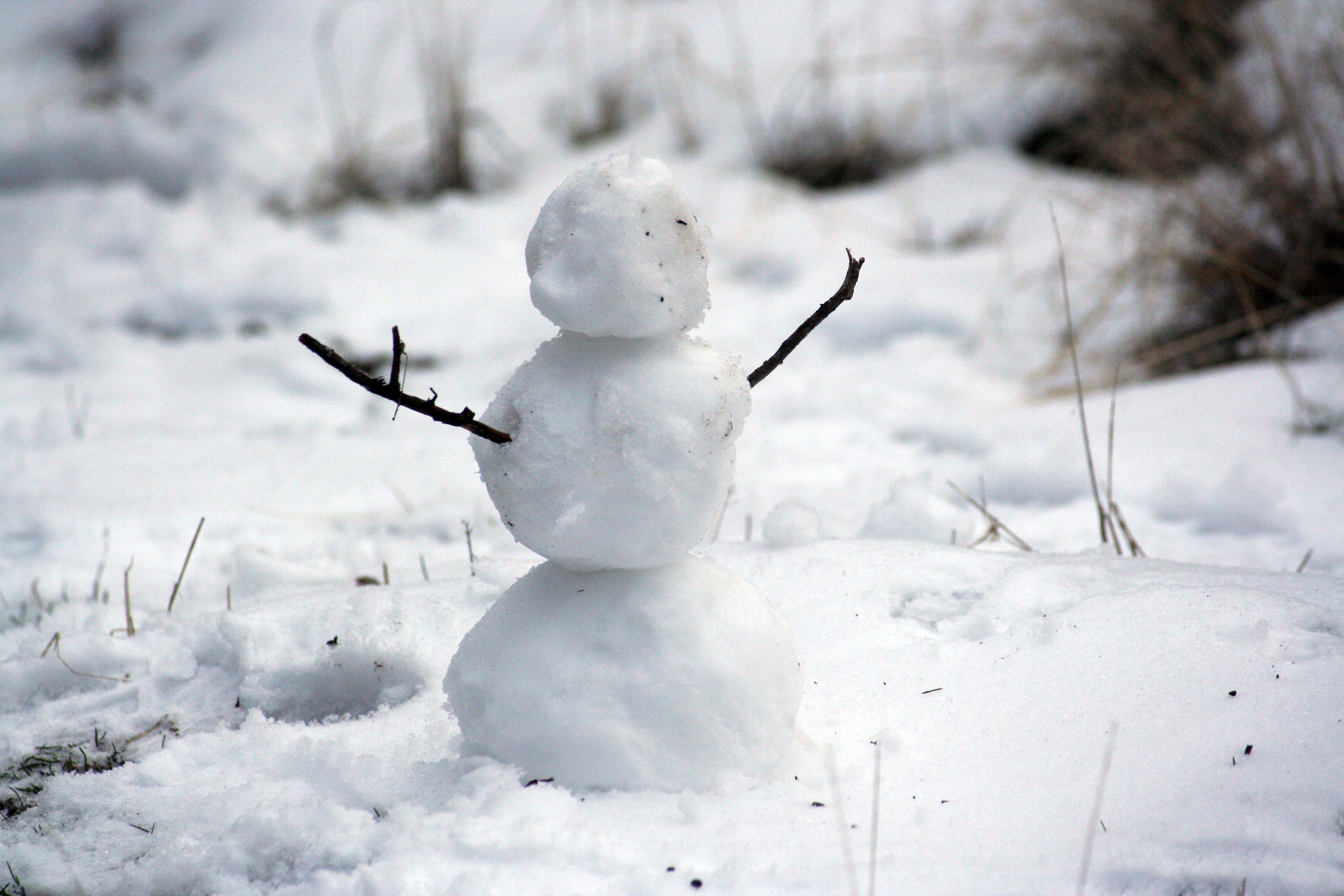 snowman on snowy field