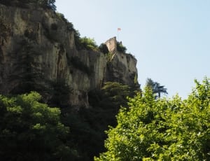 green trees and cliff thumbnail