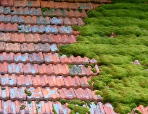 brown bricked house roof thumbnail