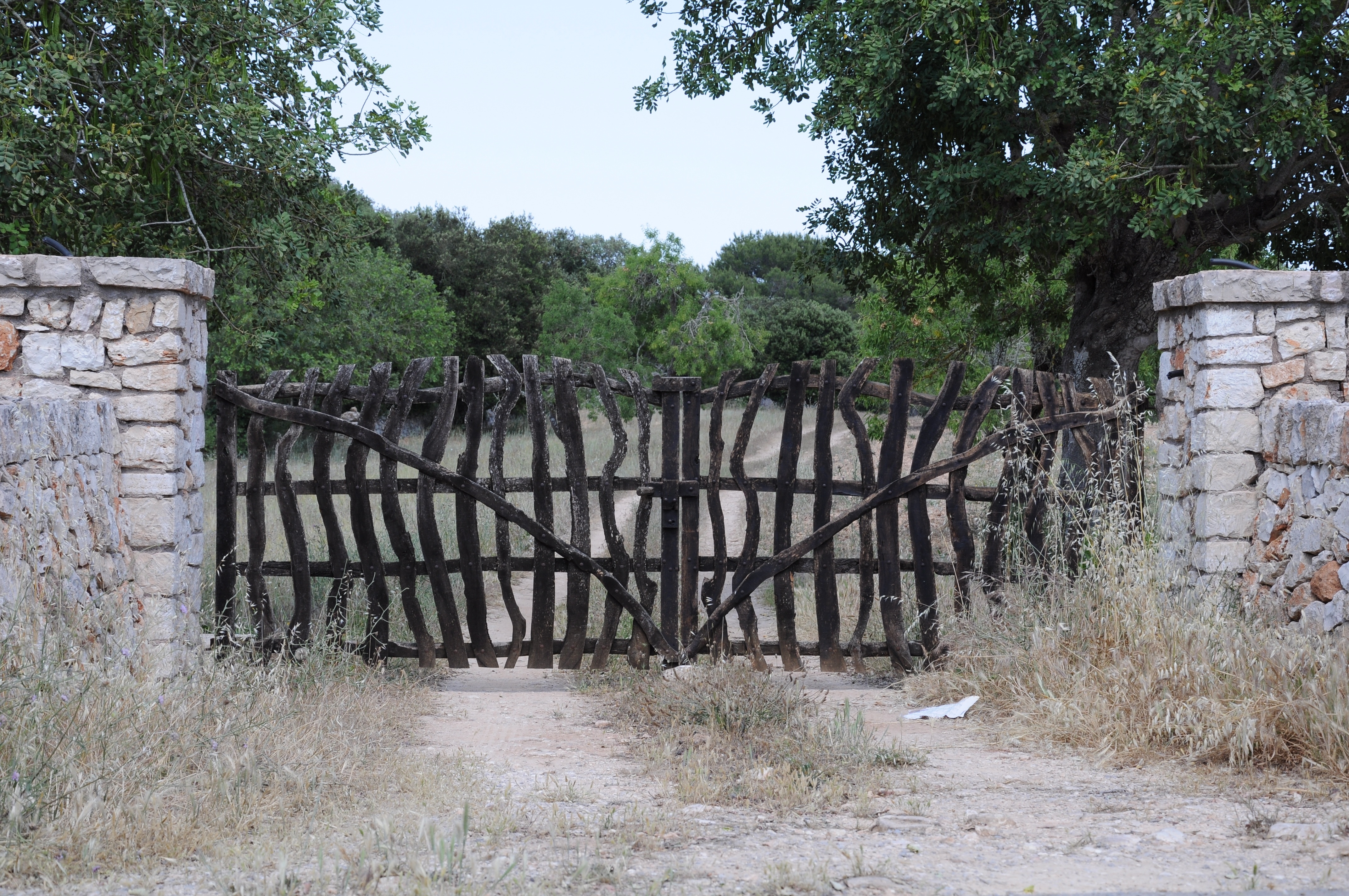 black wooden gate