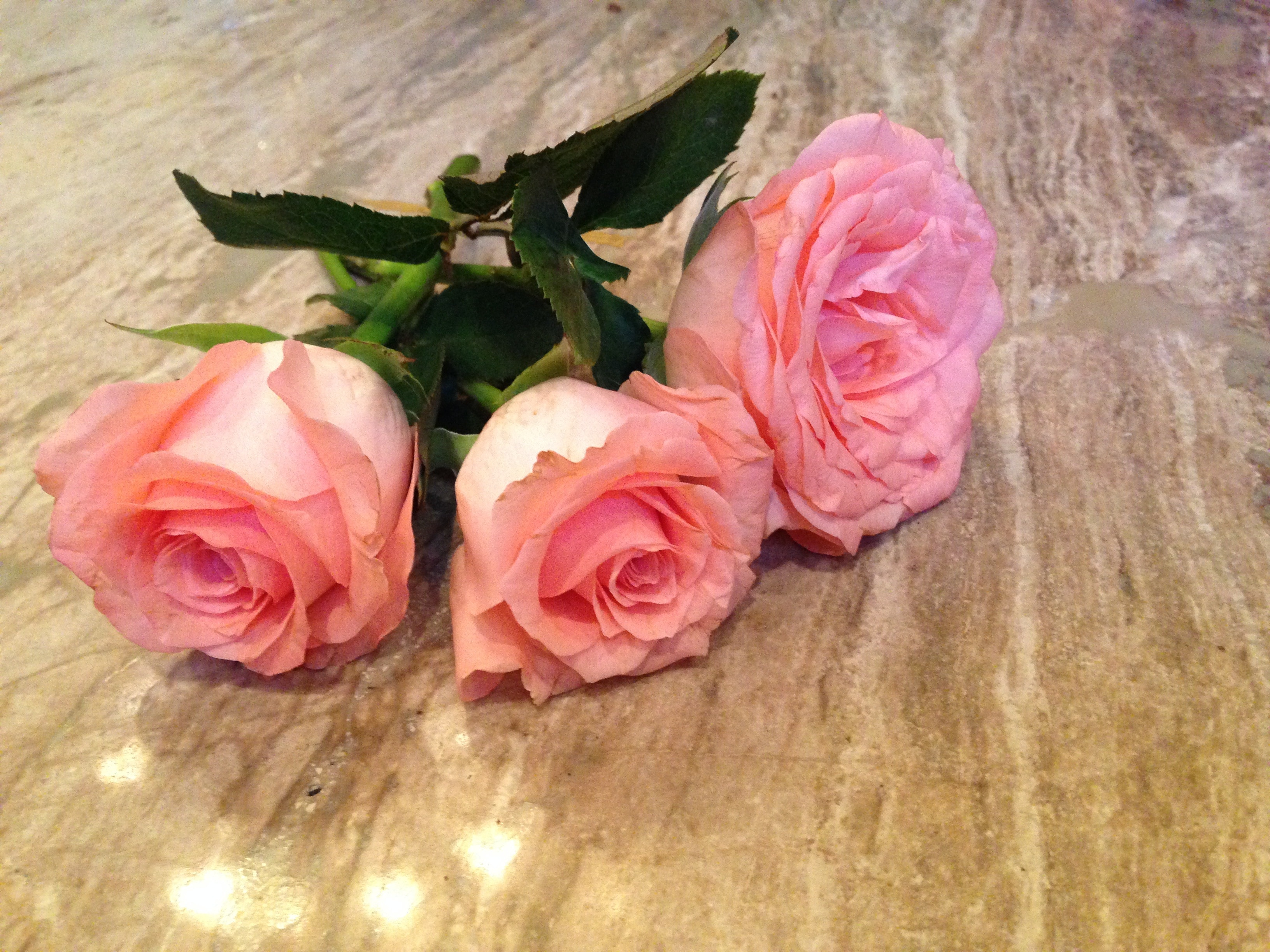 3 pink roses