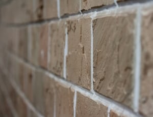 close up photo of brown wall thumbnail