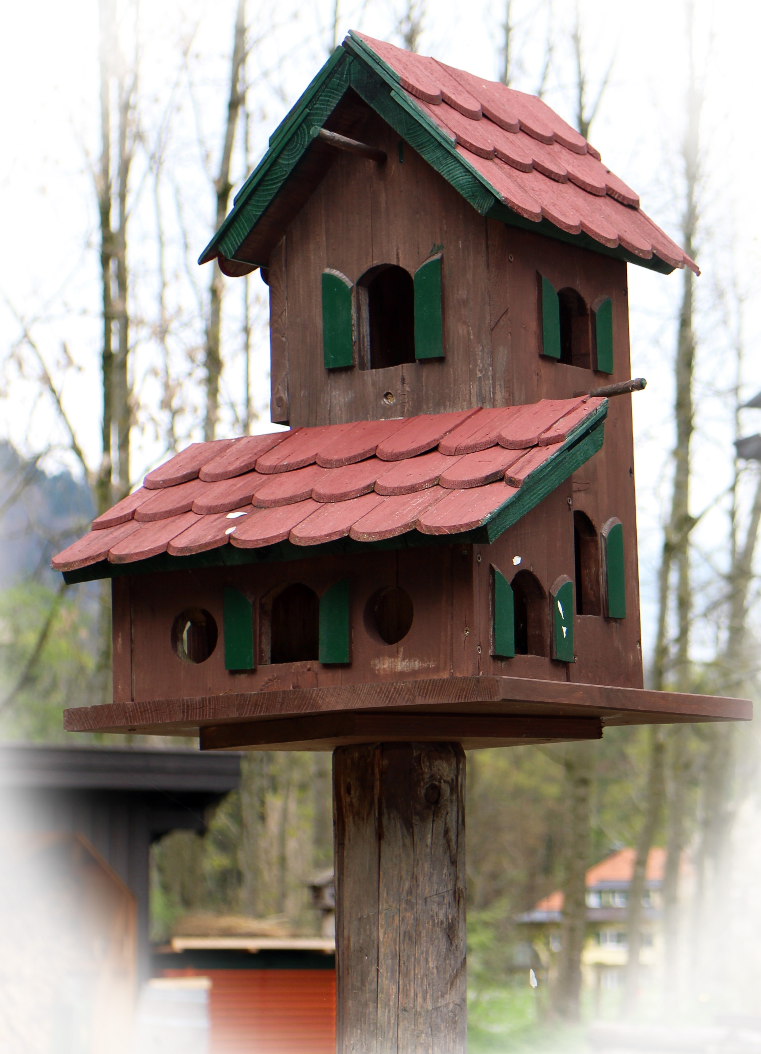 brown and green wooden bird house