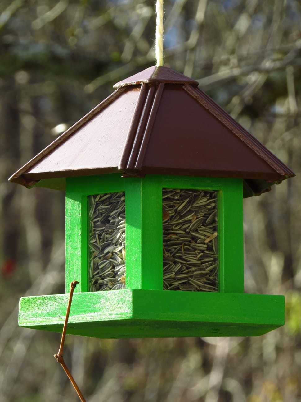 green and brown bird house preview