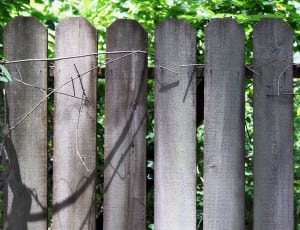 grey wooden fences thumbnail
