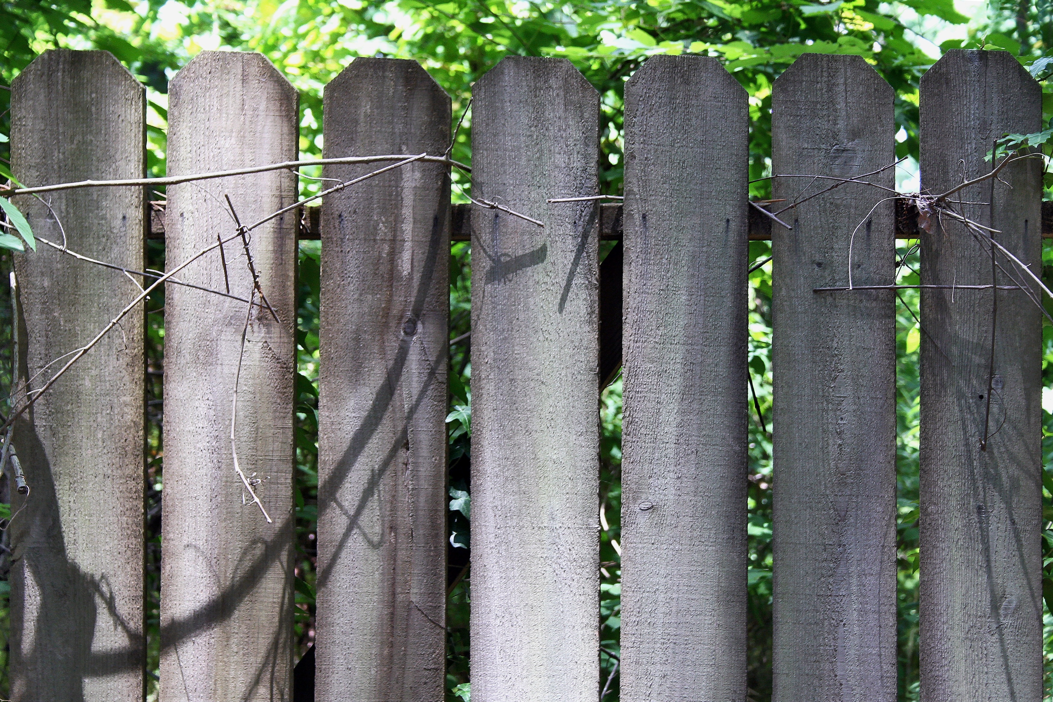 grey wooden fences