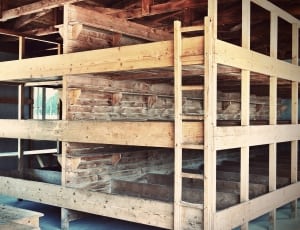 brown wooden bunk bed thumbnail