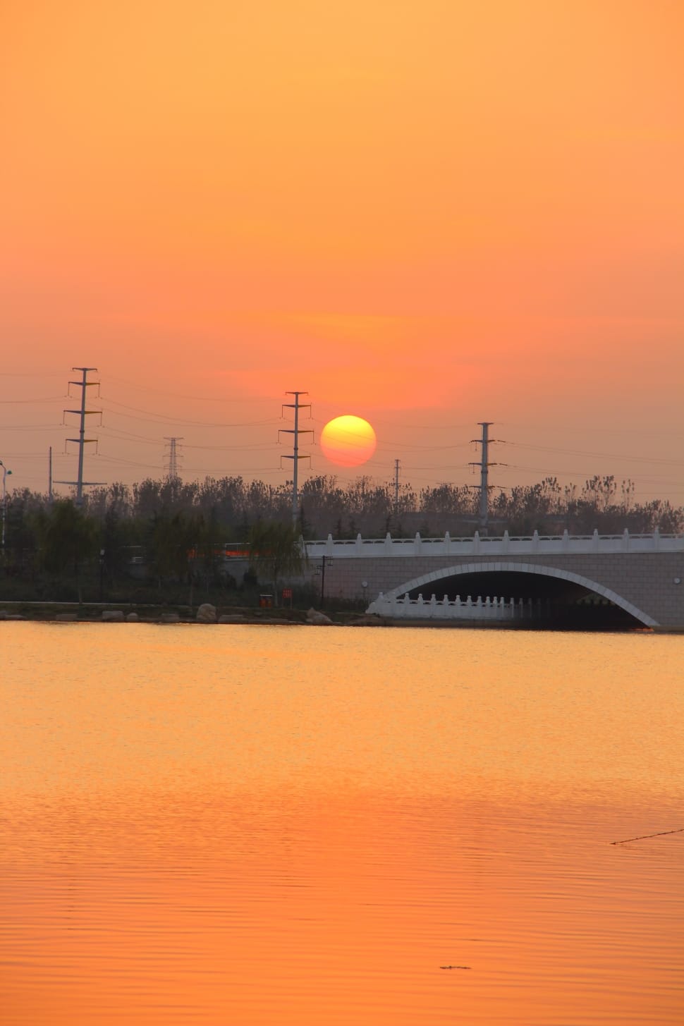 white and brown concrete bridge in sunset preview
