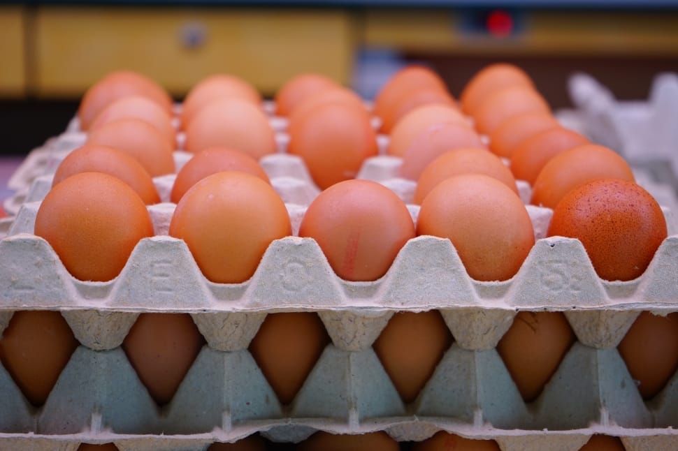 brown eggs on gray egg trays preview