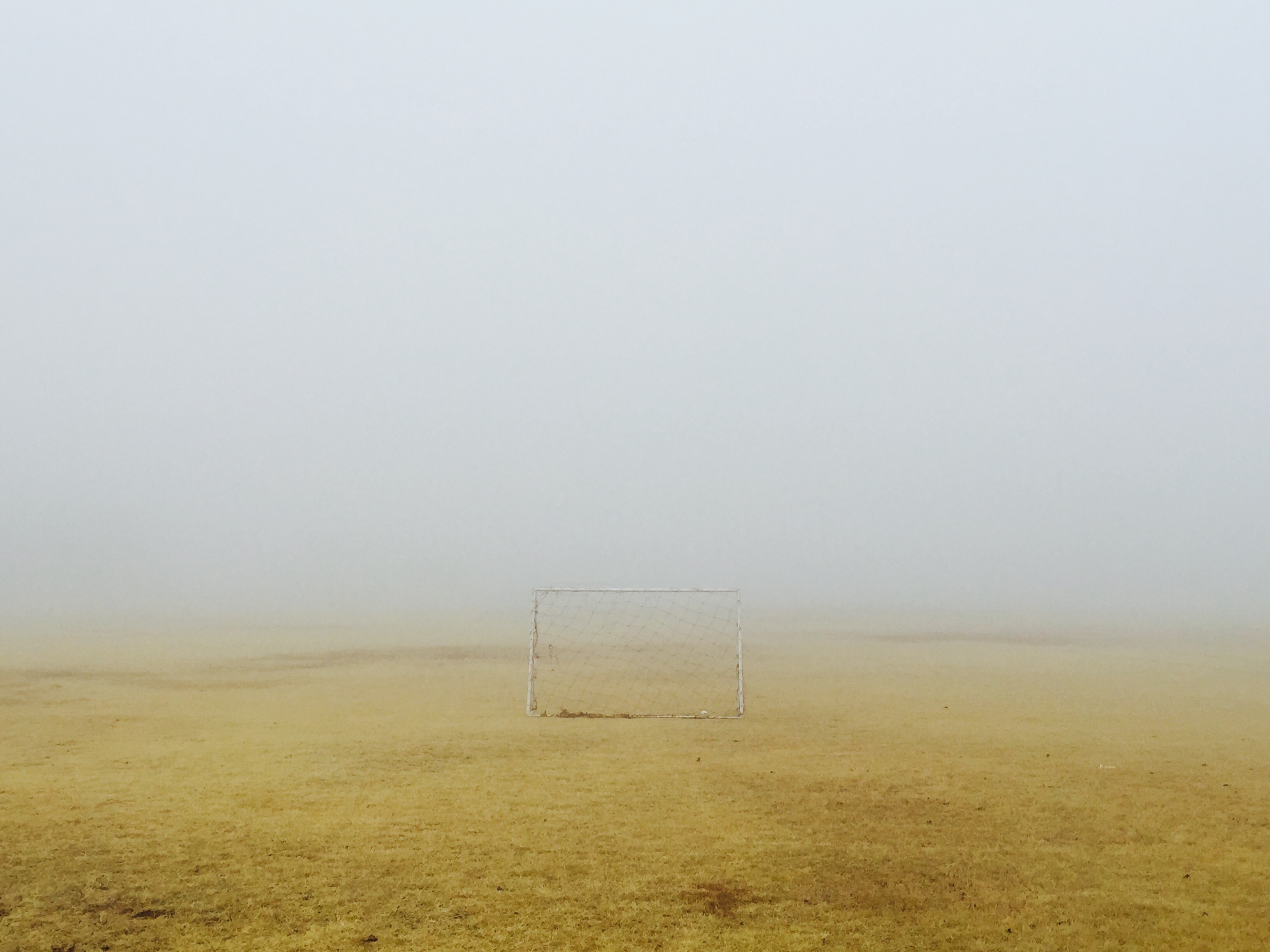 soccer net on green field