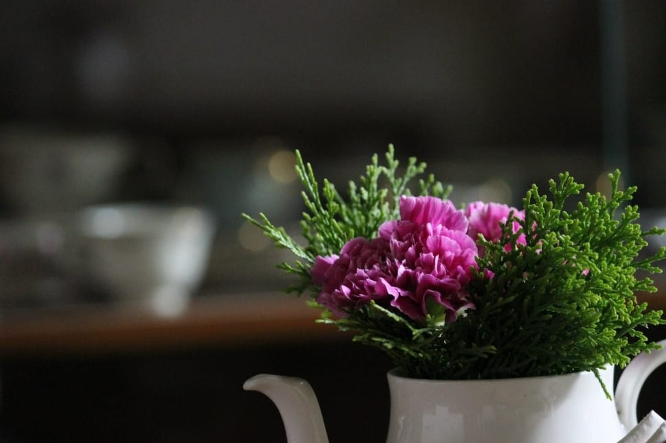 selective focus photography of pink carnations centerpiece in white ceramic teapot centerpiece preview