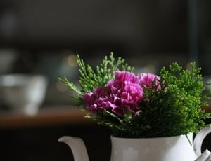 selective focus photography of pink carnations centerpiece in white ceramic teapot centerpiece thumbnail
