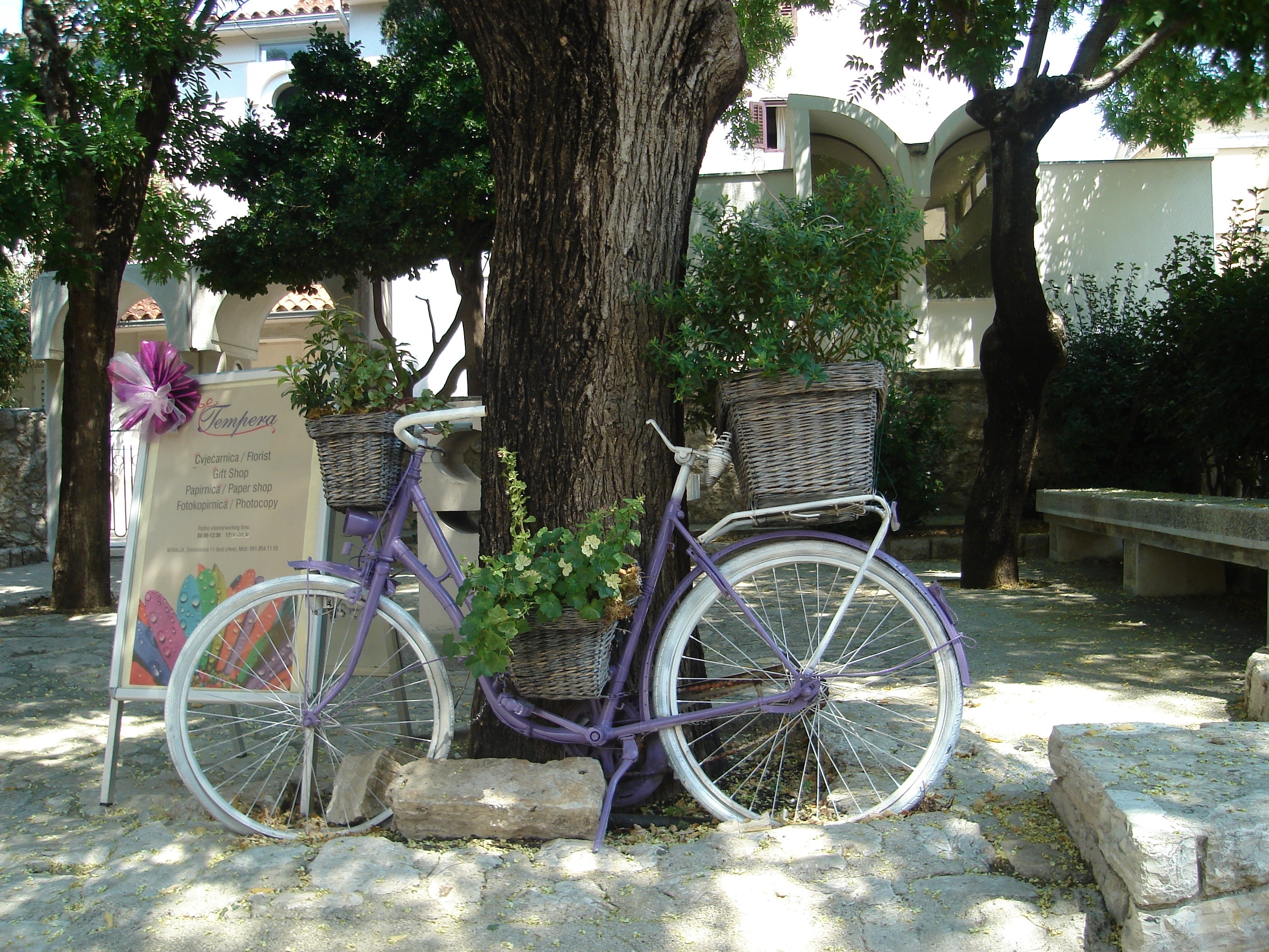 purple and white commuter bike