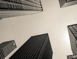 low angle photography of high rise buildings thumbnail