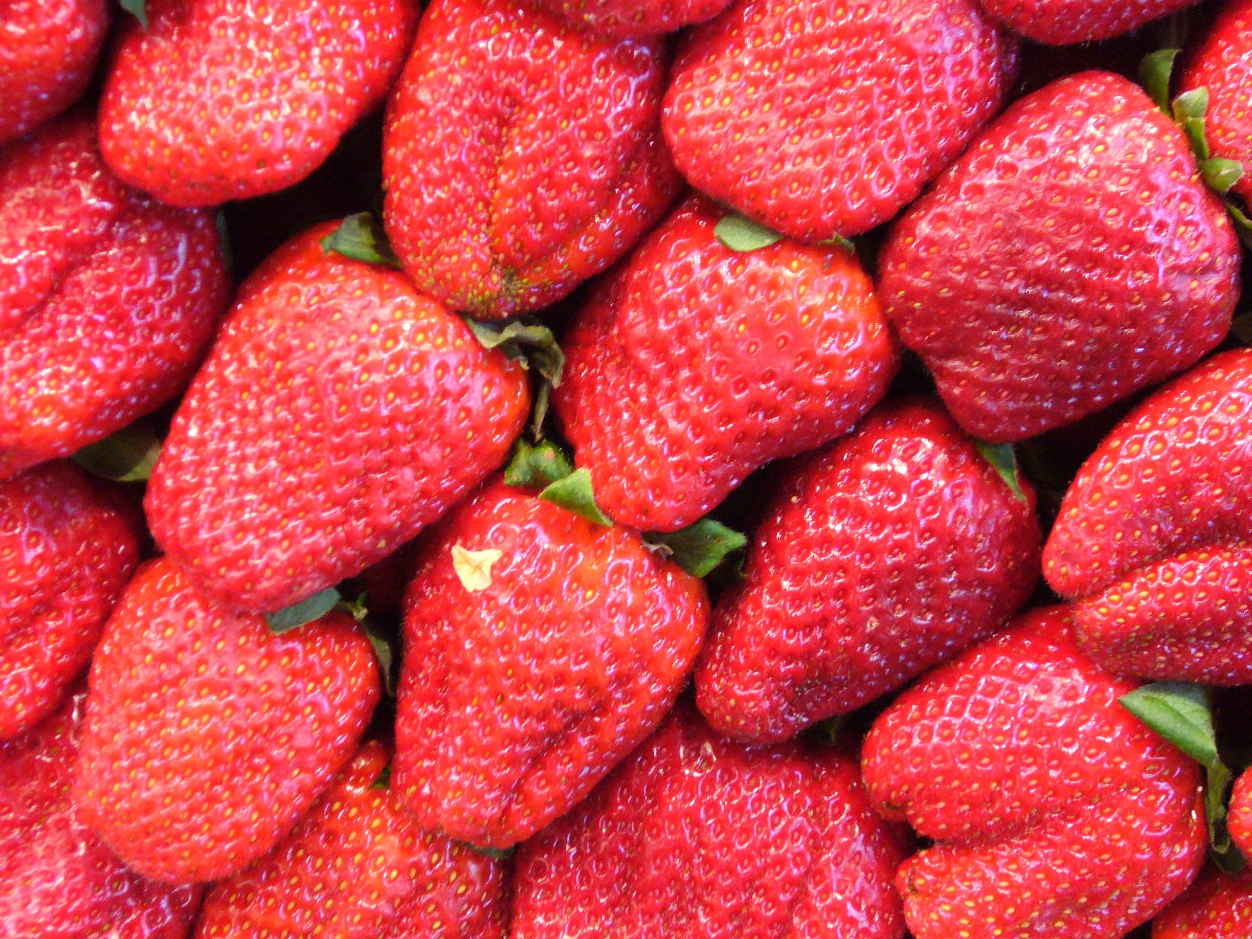 strawberry lot