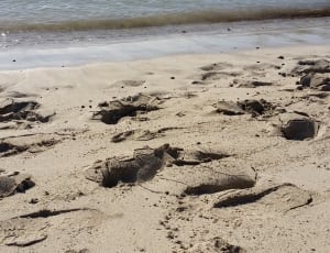 gray sand near body of water thumbnail