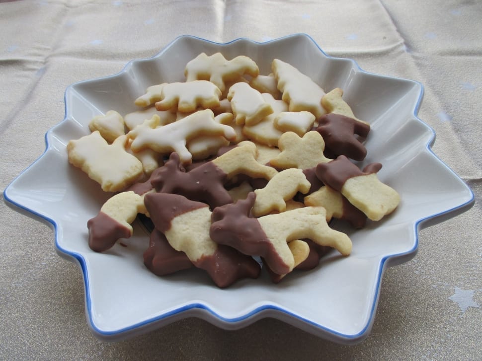 animal shaped cookies preview