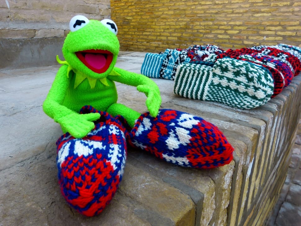 Kermit slippers best sale