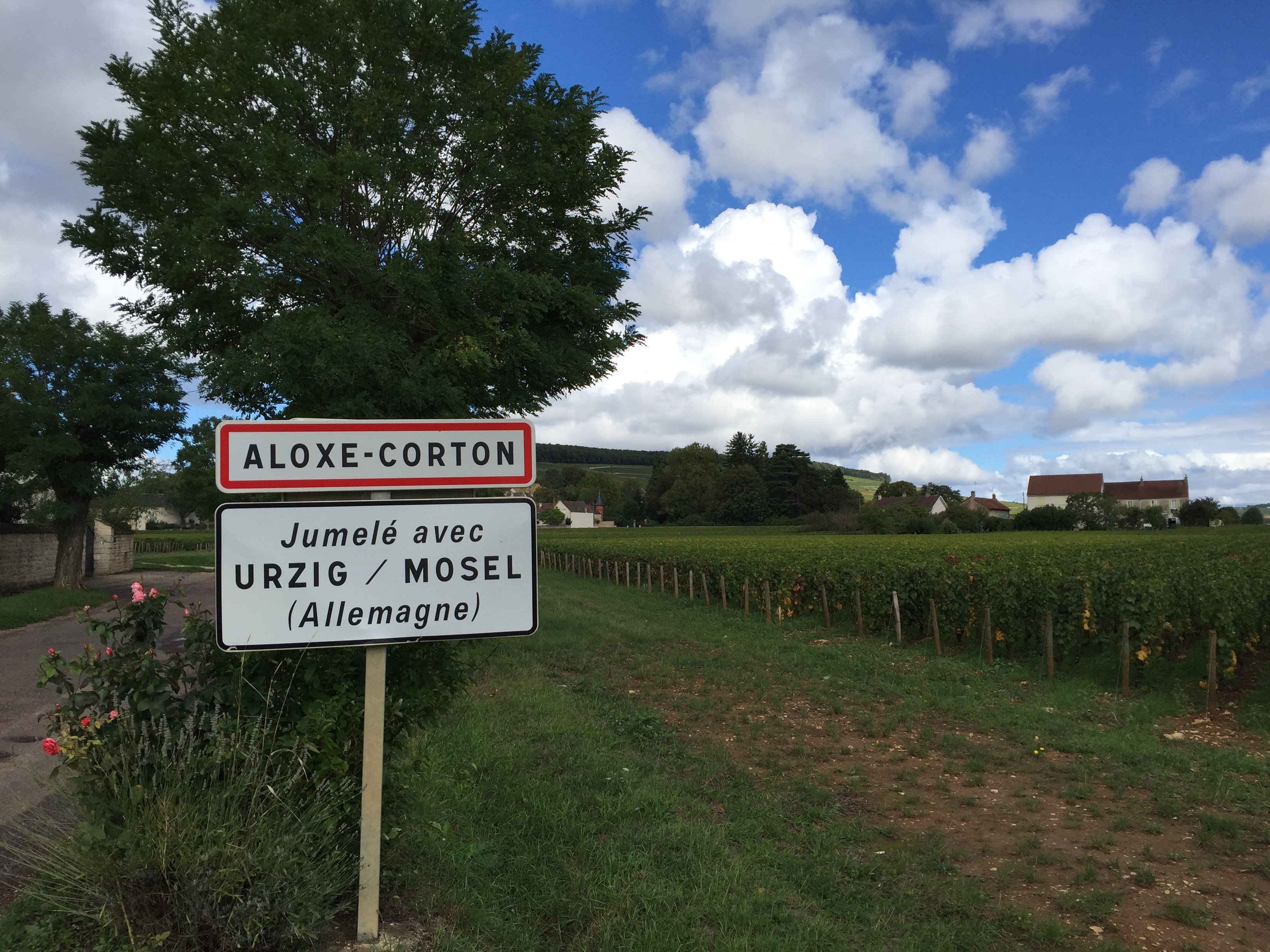 aloxe-corton road signage