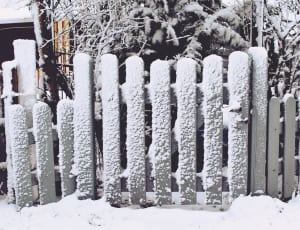 grey wooden fence ] thumbnail