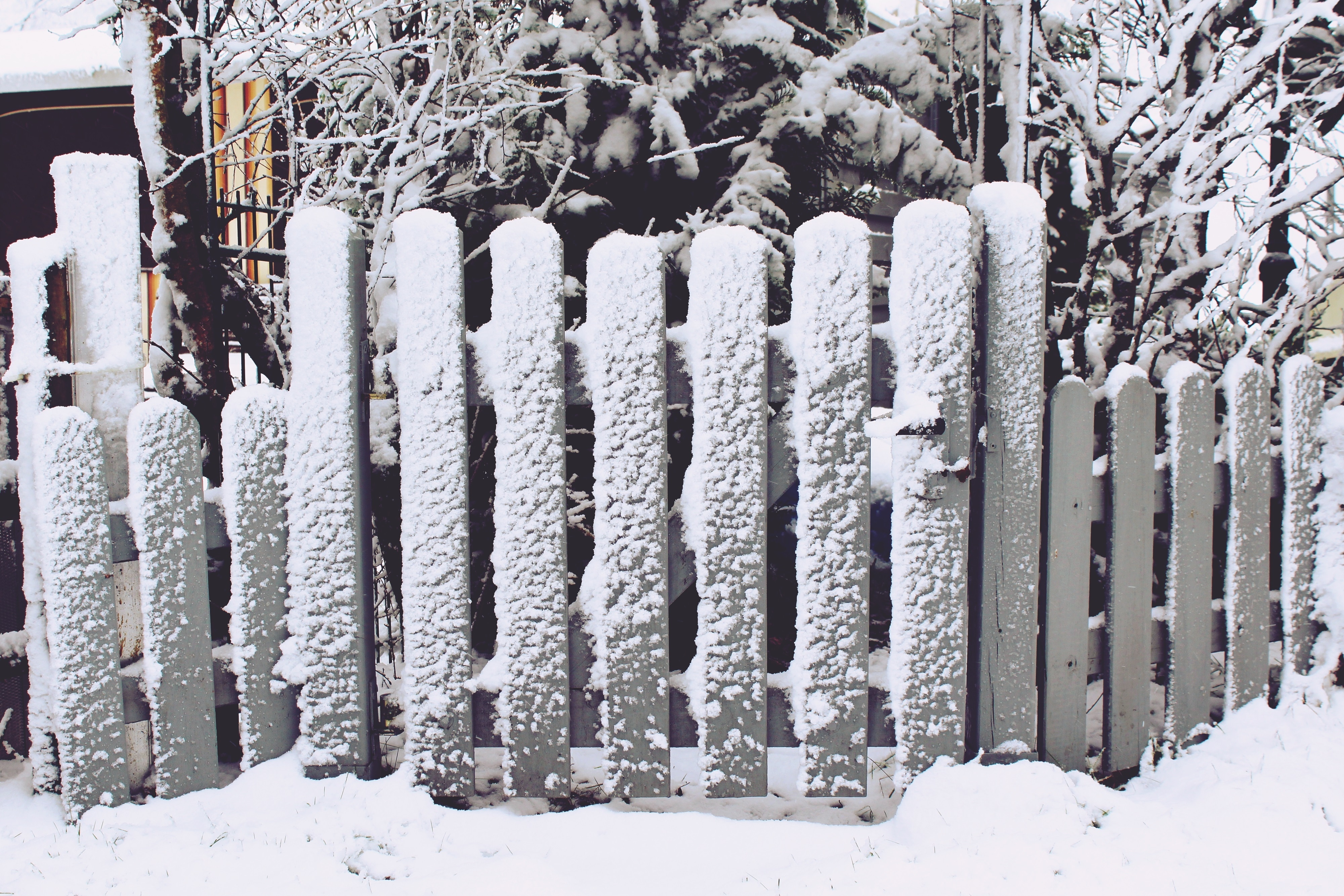 grey wooden fence ]