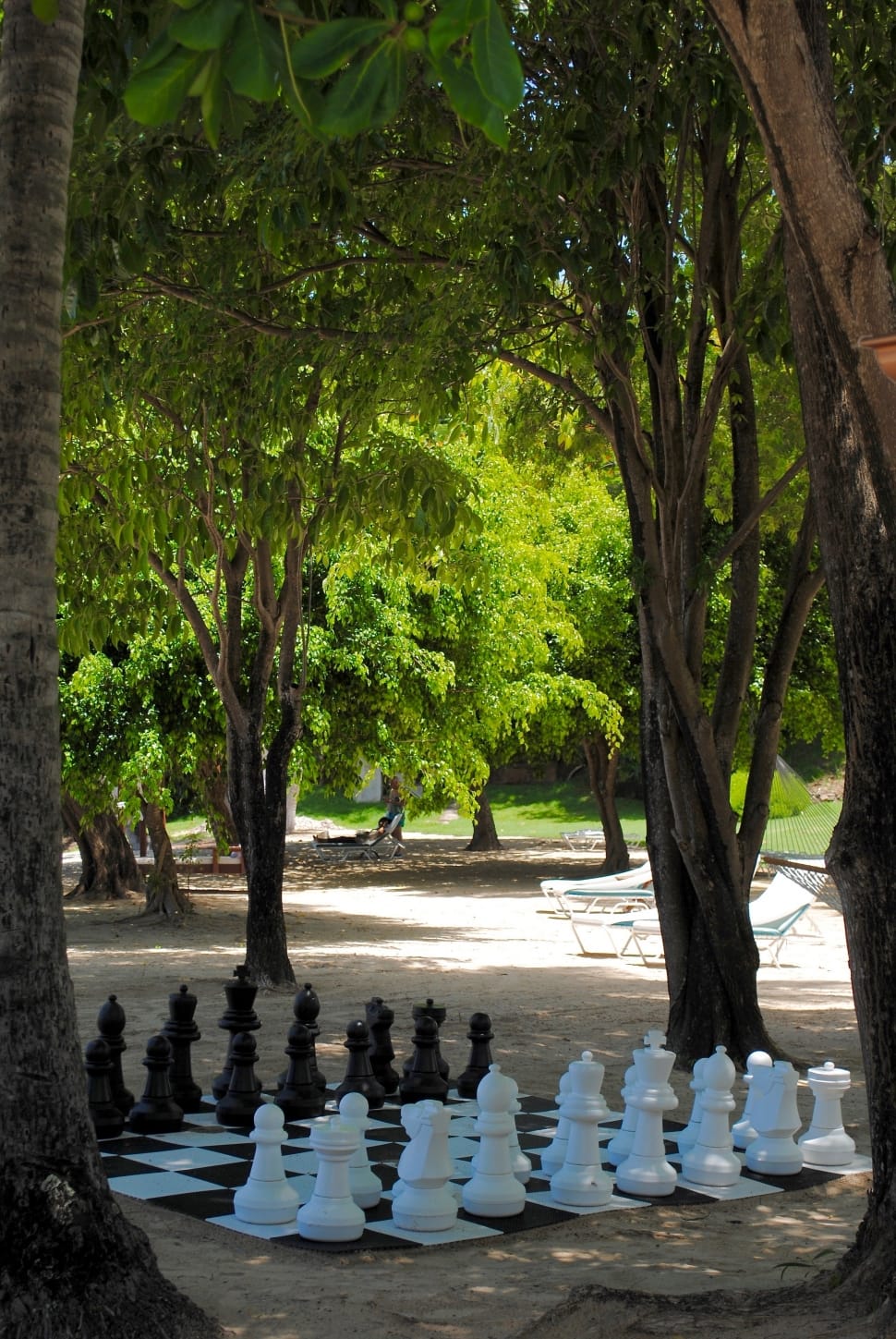 white and black chess board preview
