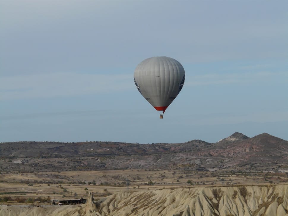 gray and red hot air balloon preview