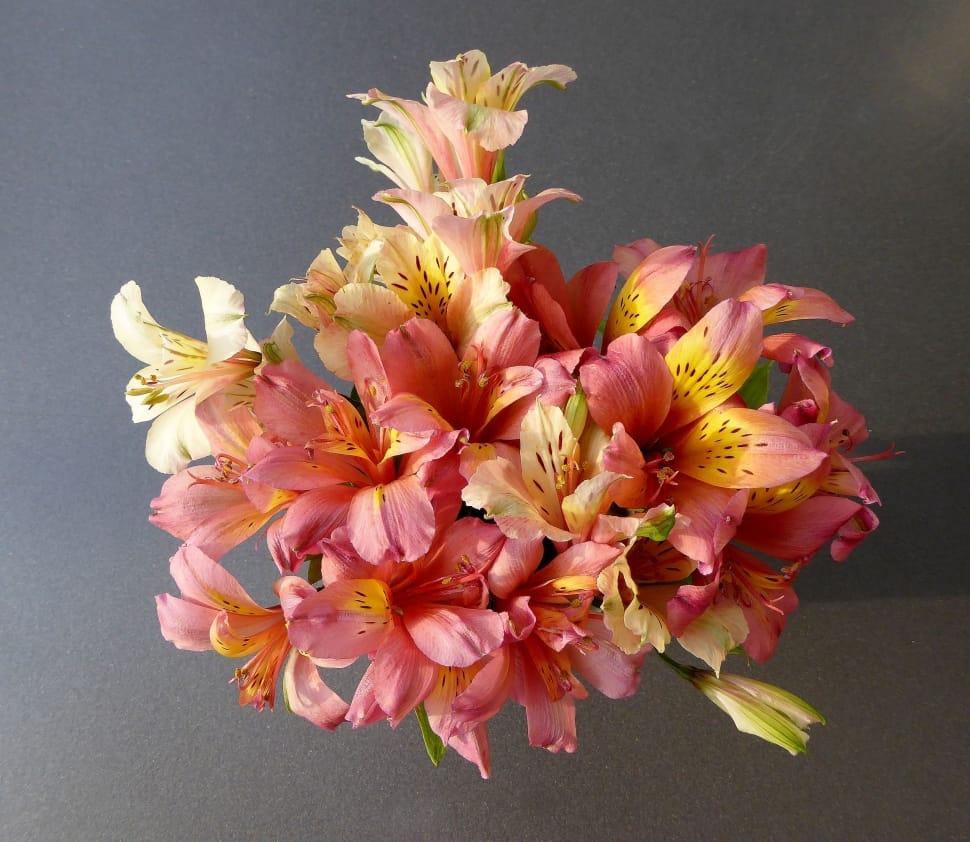 pink-white-yellow peruvian lilies bouquet centerpiece preview