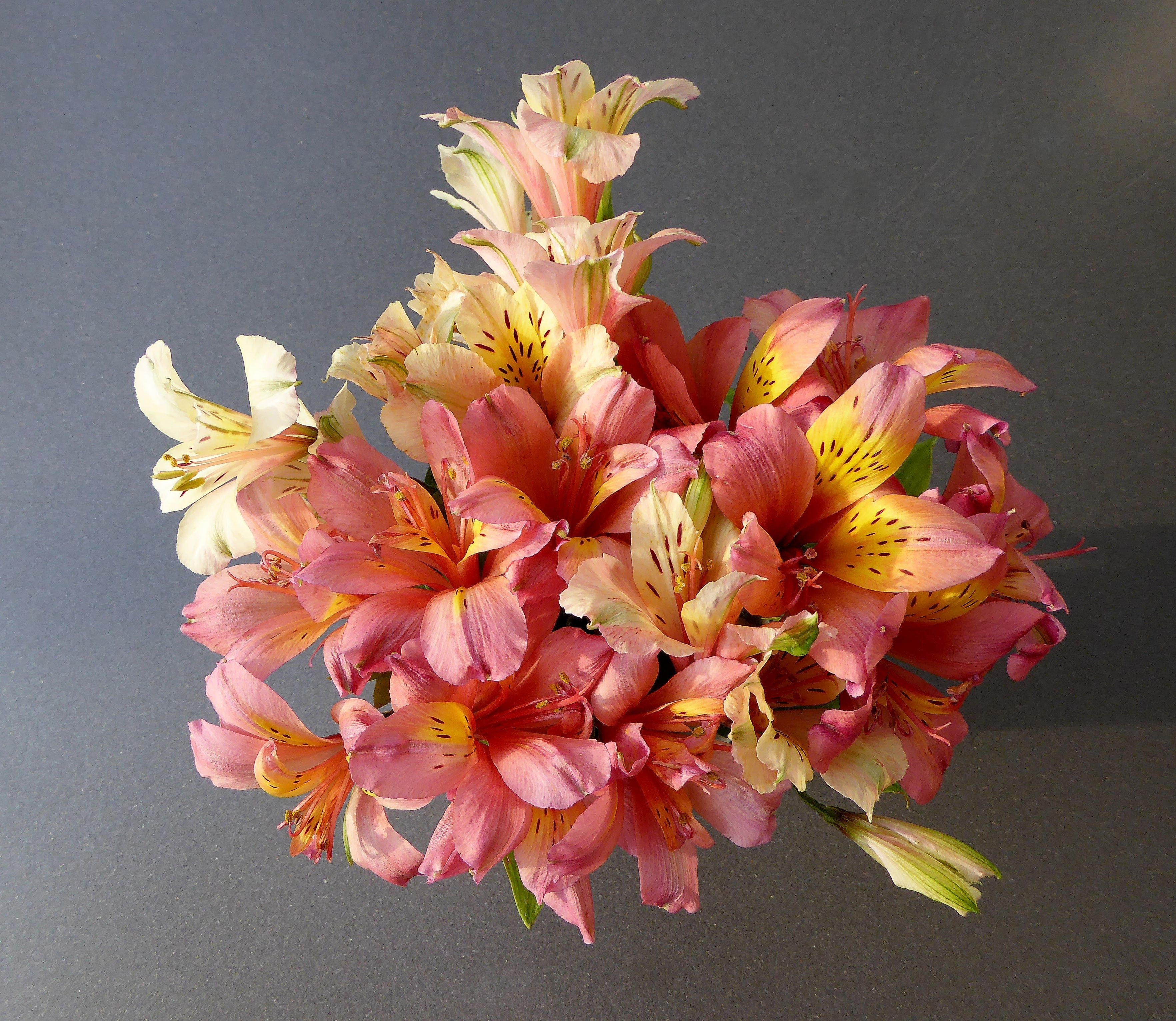 pink-white-yellow peruvian lilies bouquet centerpiece