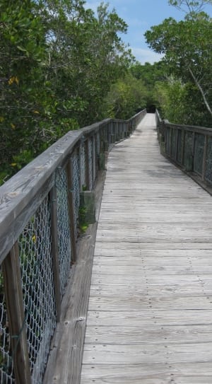 gray wooden foot bridge under clear sky during daytime thumbnail