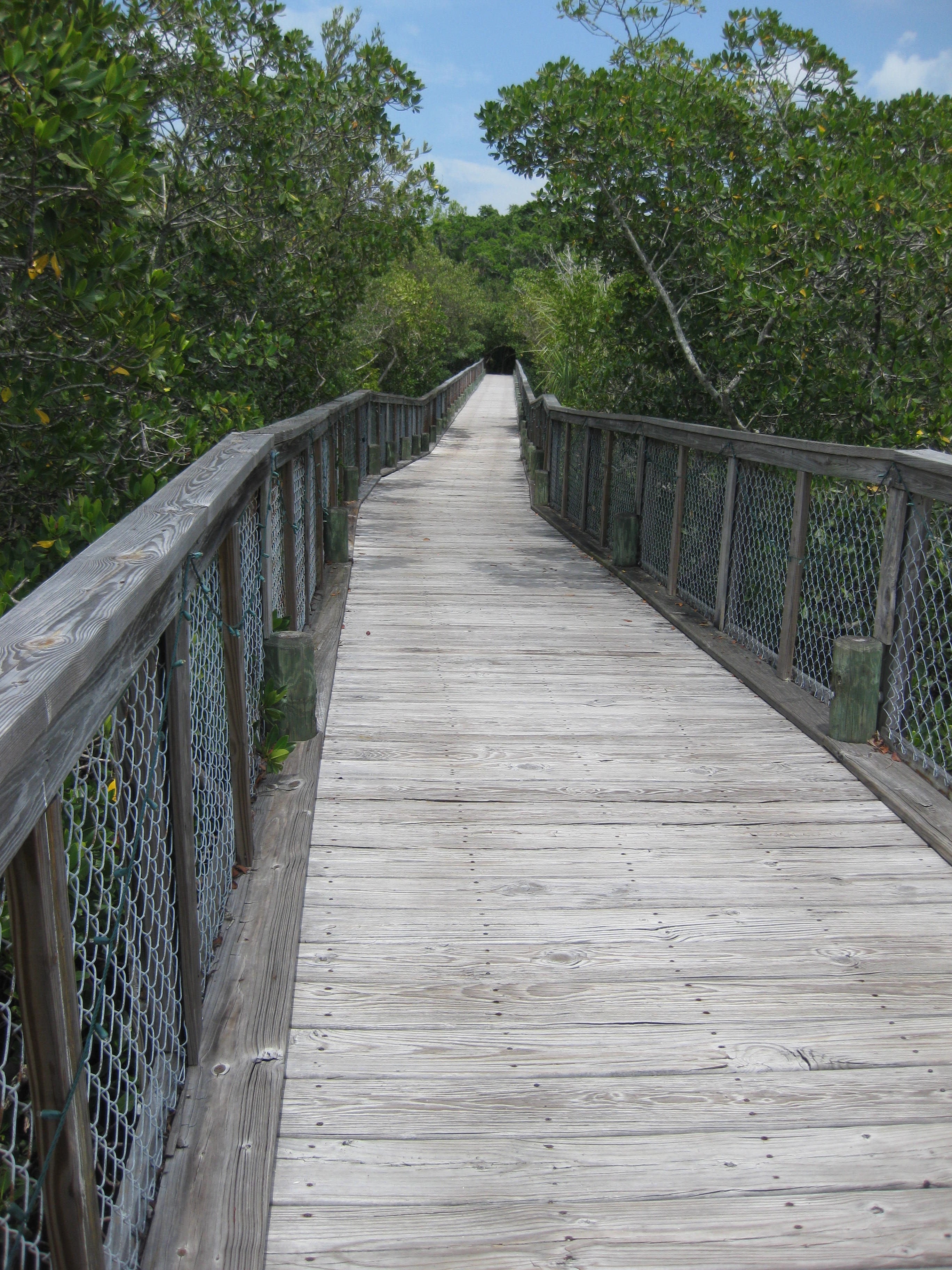 gray wooden foot bridge under clear sky during daytime