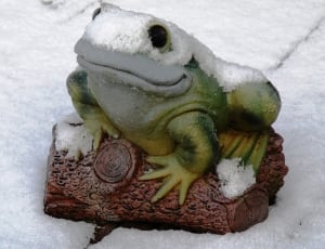 grey and green ceramic frog figurine thumbnail