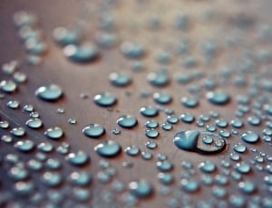 shallow focus photo of droplets of water thumbnail