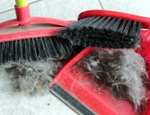 red and black broom and dust pan thumbnail