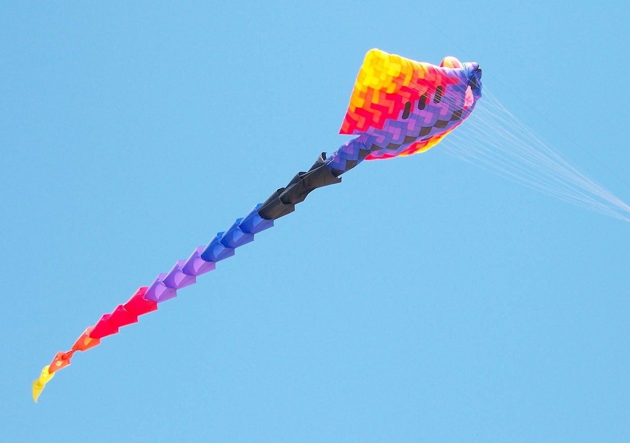 purple red and black sting ray kite