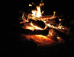 flaming firewoods thumbnail