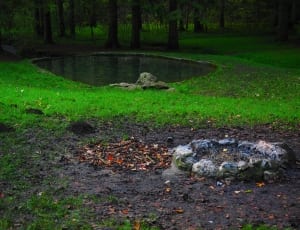 black and gray fire pit beside green grasses thumbnail