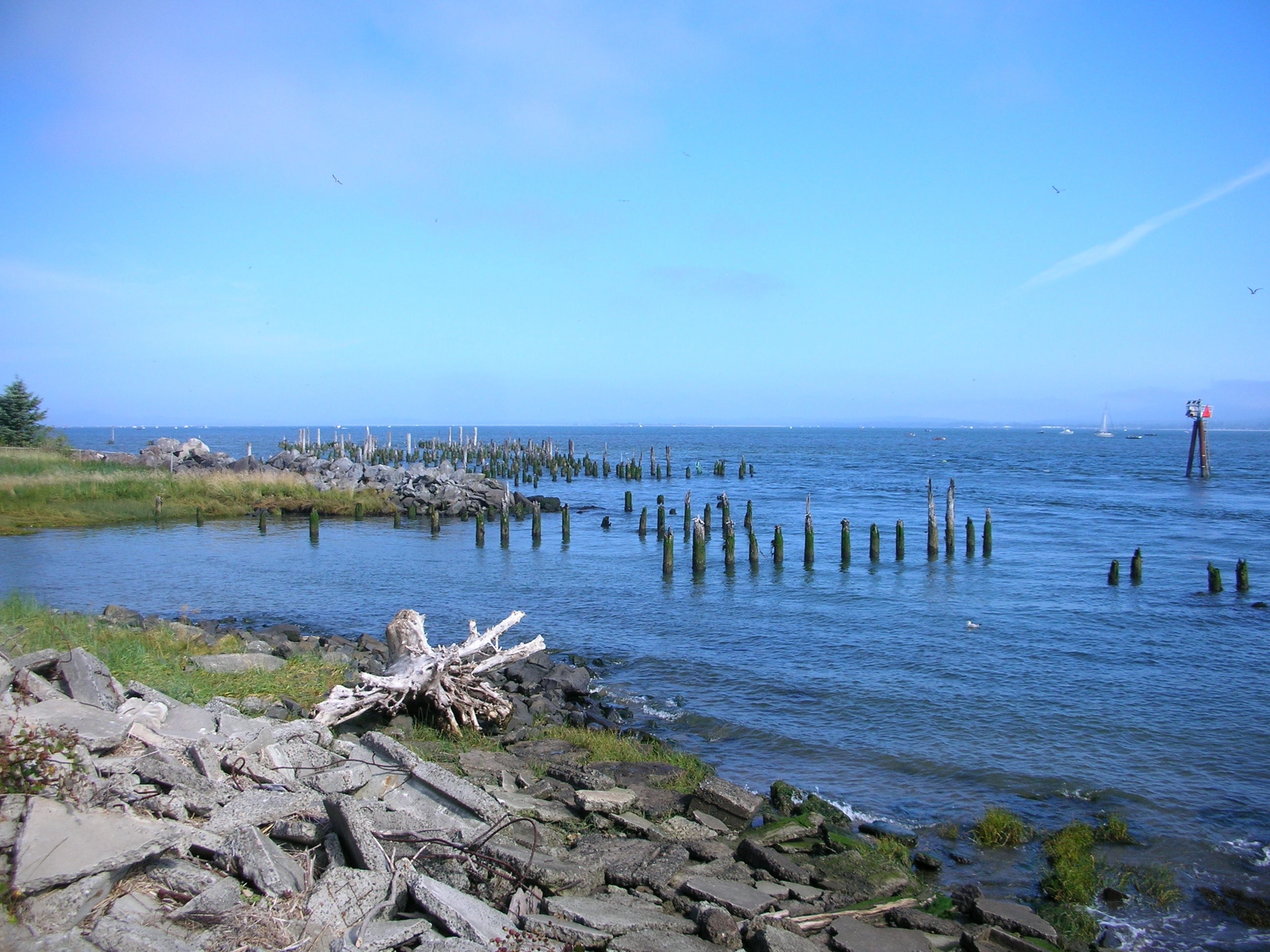 gray logs on blue sea