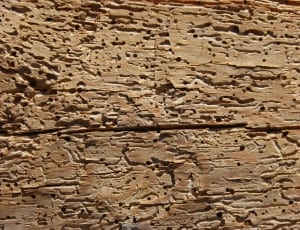 brown bricked wall thumbnail