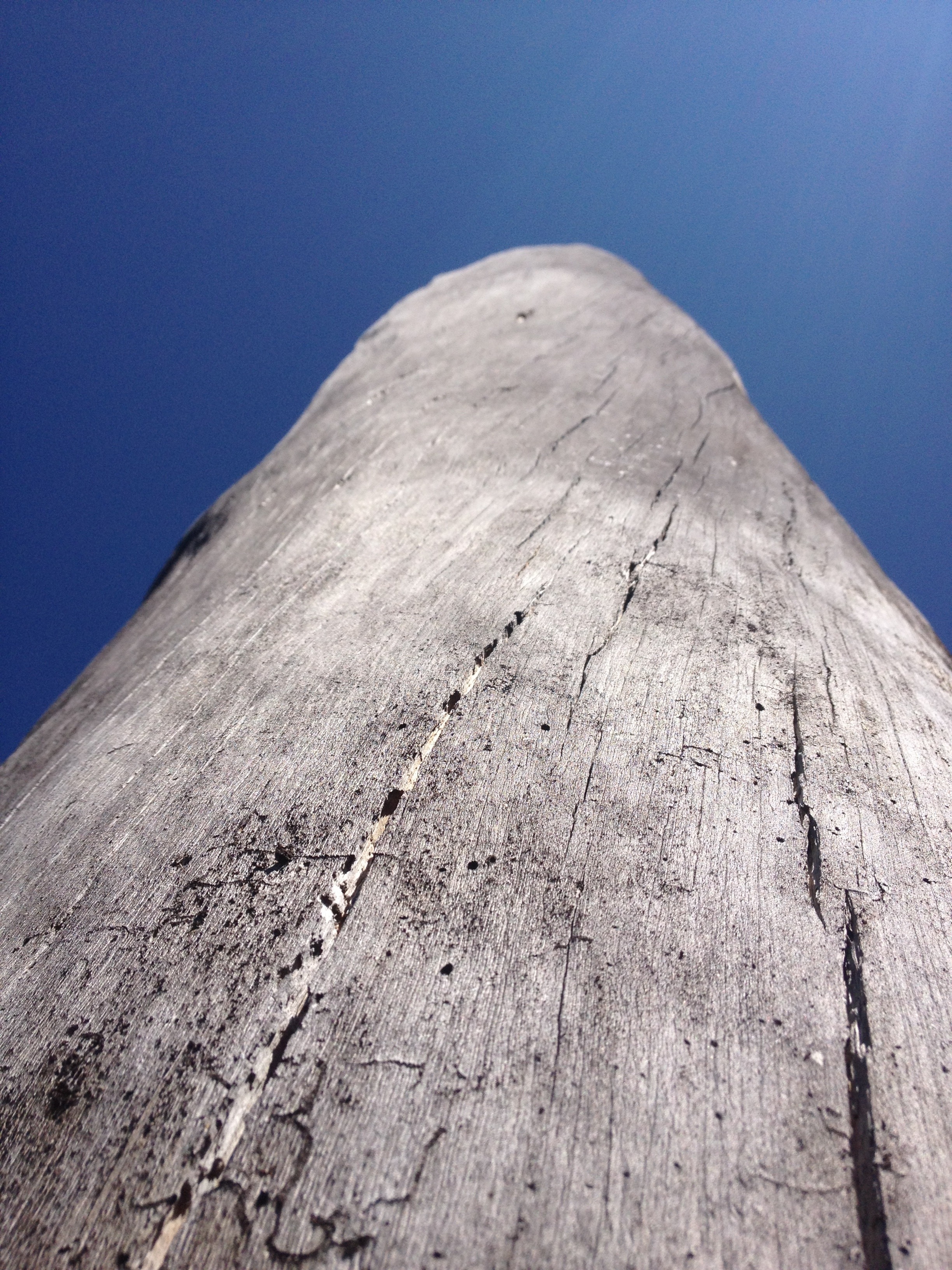 grey wooden post
