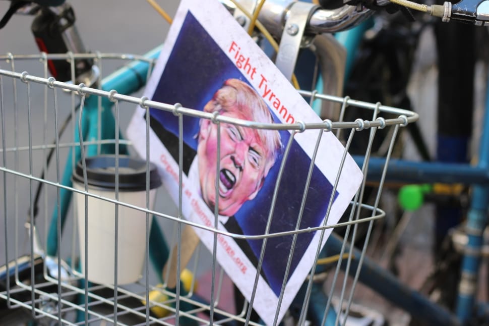 donald trump on gray bicycle basket preview