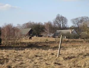 grey wooden house beside grass field during daytime thumbnail