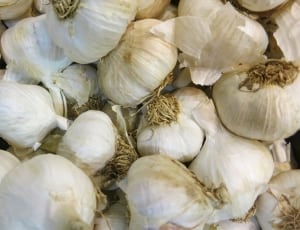 white garlic lot thumbnail