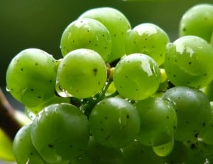 green grapes thumbnail