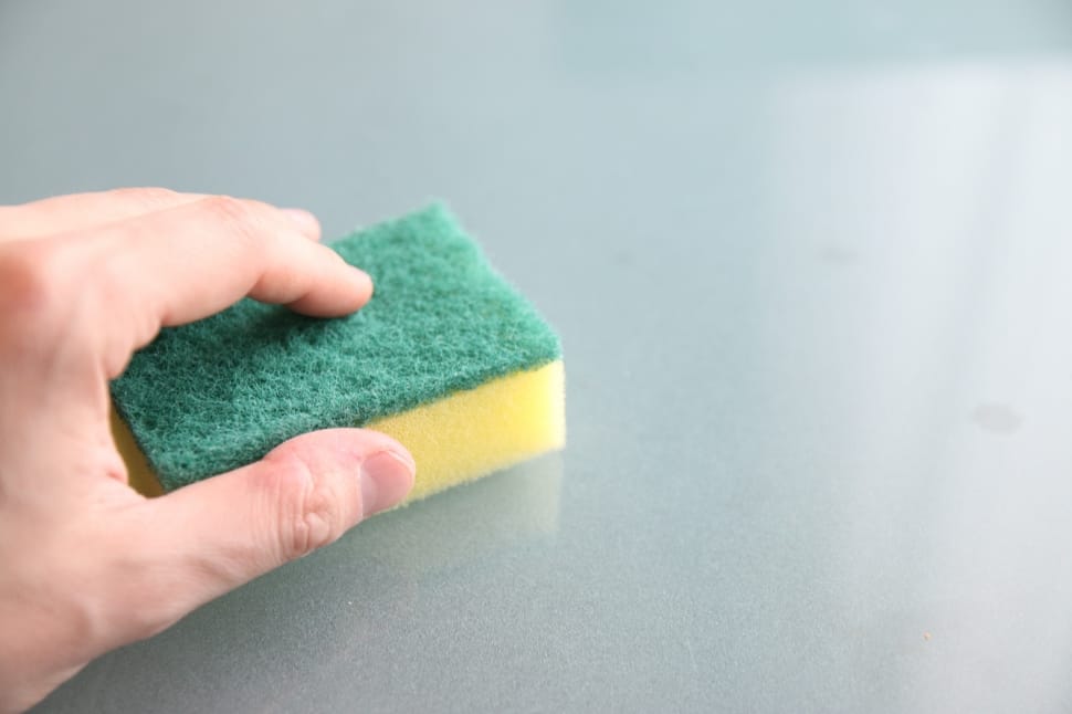 green and yellow sponge preview