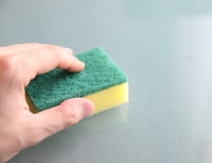 green and yellow sponge thumbnail