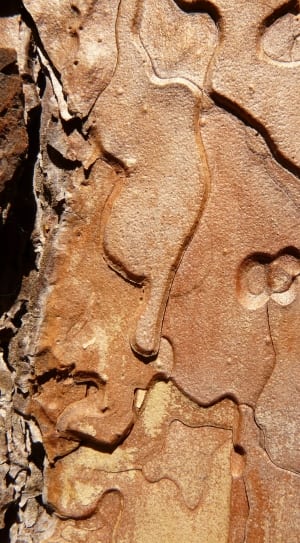 brown stalactite thumbnail